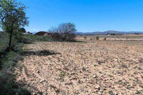 Helårsgrund i Yecla, Murcia, Yecla - € 26.500 | Ref: SF0526 - foto 3
